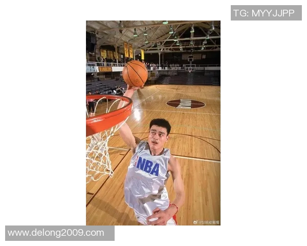 姚明精彩截球瞬间集锦回顾展现巨人风采与篮球智慧