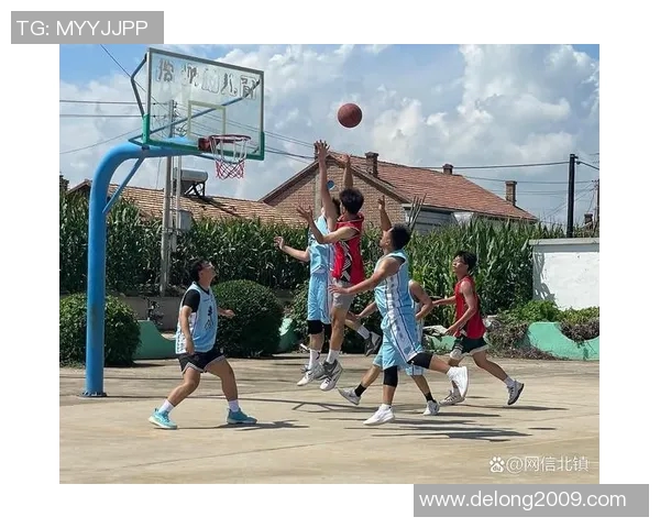 篮球明星全景展现打篮球的精彩瞬间与背后故事的完整合集